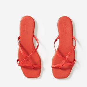 Everlane red strappy sandal